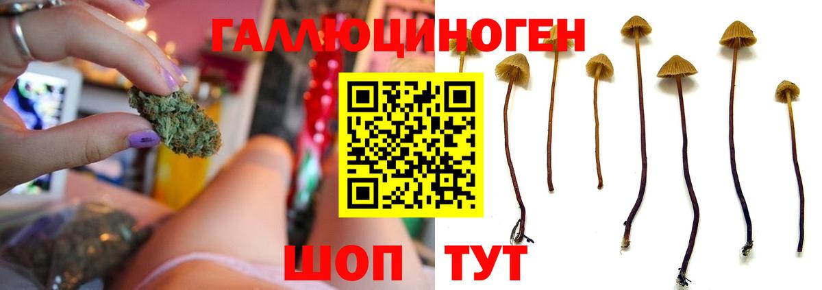 Галлюциногенные грибы мицелий  Вход с VPN  Галлюциногенные грибы Magic Shrooms  Кинель 