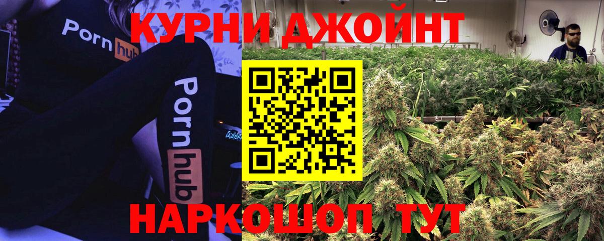 Конопля сатива Кинель